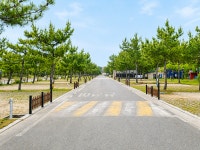 국내 대표 관광명소 동해 망상제2오토캠핑장, 자동차 전용캠핑장으로 새단장