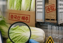 '포름알데히드 배추' 국내 들어왔나…정부, 중국에 수출 여부 확인중