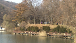 [충북·세종날씨] 낮 맑고 최고 17~20도...내일 비 소식