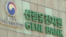 잃어버린 씨앗, ‘종자주권’을 찾아서