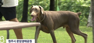 청주시, 반려견 놀이터 이용 신청제로 전환