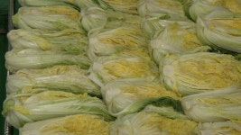 괴산시골절임배추 가격 인상... 20kg에 4만 원