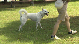 문암생태공원 반려견 놀이터 재개장