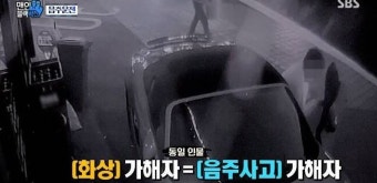 음주운전 살해 가해자, 폭죽 집단 폭행 사건 ‘그놈’과 동일인이었다