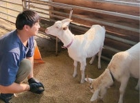 [로컬 인사이드] ‘모든 생명은 본성대로 살 때 가장 행복하다’ 생츄어리 이야기