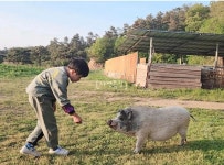 [로컬 인사이드] ‘모든 생명은 본성대로 살 때 가장 행복하다’ 생츄어리 이야기
