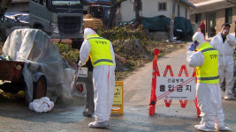 충청북도, 럼피스킨 발병 인접 5개 시·군 3주간 소 이동금지