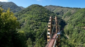 증평군, 985억 원 투입 좌구산 휴양랜드 활성화 추진