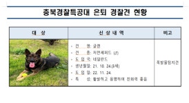 훈련 적응 못한 경찰견 글랜 조기 은퇴