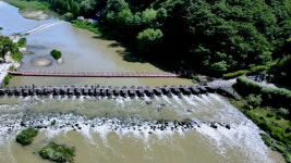 [제철 여행] ‘국내 최장’ 출렁다리 건너 만나는 초록 쉼