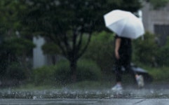[충북·세종 날씨] 태풍 종다리 약화 됐지만 최대 80mm 비...습도 높아 찜통더위 계속