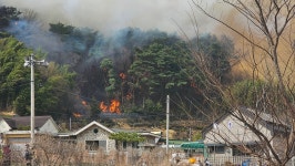 [속보] 울주 언양 산불 1단계 발령…송대리·울산양육원 등 대피령