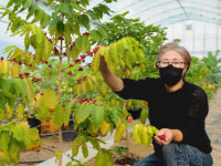 [사진뉴스] 커피로 영그는 부농의 꿈