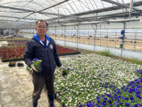 예산군장애인종합복지관에 팬지꽃 후원