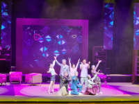 홍주문화회관, 경로당 폰팅사건 공연