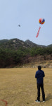 네이버 검색 결과 사진 6
