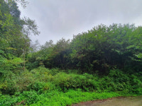 캠코 경·공매 물건 들여다보기