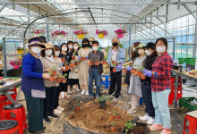 충주시농업기술센터, 생활원예교육 큰 호응