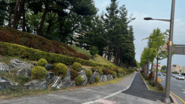 대전 도심속 완충녹지 수십년째 애물단지