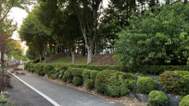 시민 불편 부르는 도심 속 완충녹지 대대적인 개선 예고