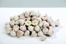 서산6쪽마늘 판로 다각화 성과 톡톡