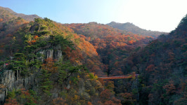 탑정호 출렁다리 호수뷰에 심쿵… 추억, 낭만 그리고 쉼표