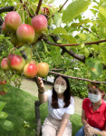 [포토] 가을문턱 처서
