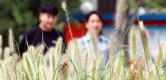 충청권 일교차 큰 휴일… 낮 최고 27~29도