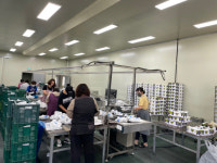 부여 규암농협 굿뜨래 포도 출하 개시