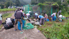보은속리산면 상판리마을회 환경정화활동