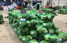 [르포]  추석 앞둔 새벽 농산물도매시장…이런 배춧값 10년 만에 처음