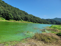 대청호 상류 옥천 지오리 악취 마을되나