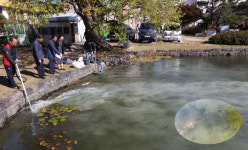 수질개선과 악취저감 두마리 토기 잡는다.