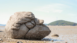 [그 섬에 가고 싶다] 육지와 공존하는 신비의 섬, 서산 웅도