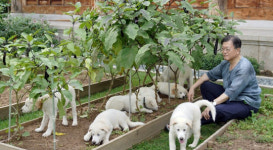 대전오월드 대통령기록관서 곰이·송강 돌봄 문의…여건상 어려워