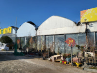 등유 가격 폭등에 비닐하우스 화훼농장도 한파