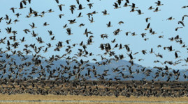 서산 부석면 주민들 천수만 간척지 태양광 발전사업 결사 반대