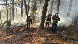 천안 목천읍 산불… 1명 연기 흡입