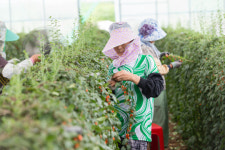 [신팔도명물] 버릴 것이 없는 신의 선물…최상의 약효성 반찬