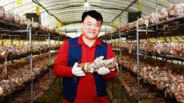 [귀농귀촌 성공시대] 표고버섯으로 제2의 인생을 살고 있어요
