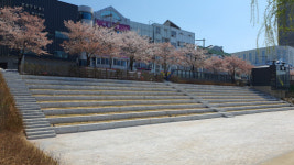 대전천 목척교 주변 시민 힐링명소로