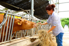 [포토] 추석 대목 앞두고 시름에 빠진 농가들