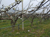 충남도농기원-폴란드 포즈난데학, 연구협약 체결