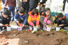 세종 전의 조경수 묘목축제, 내달 22일 개막