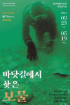 서울 나들이 떠나는 충남 태안 바닷속 보물…'바닷길에서 찾은 보물' 展