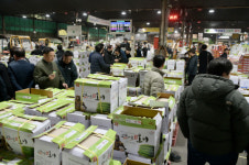 공주시, 서울 가락동 농수산도매시장 오이 경매장 방문해 홍보 나서