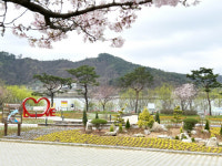 세종 고복자연공원 새 옷 갈아입는다...생태프로젝트