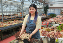[줌인] 젊은 여성농업인 K-다육으로 세계시장 진출
