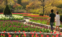 식물과 환경을 사랑하는 고운음악회 개최