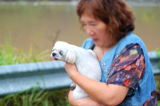[포토] 마을이 잠겼다… 폭우 쏟아진 대전 서구 용촌동